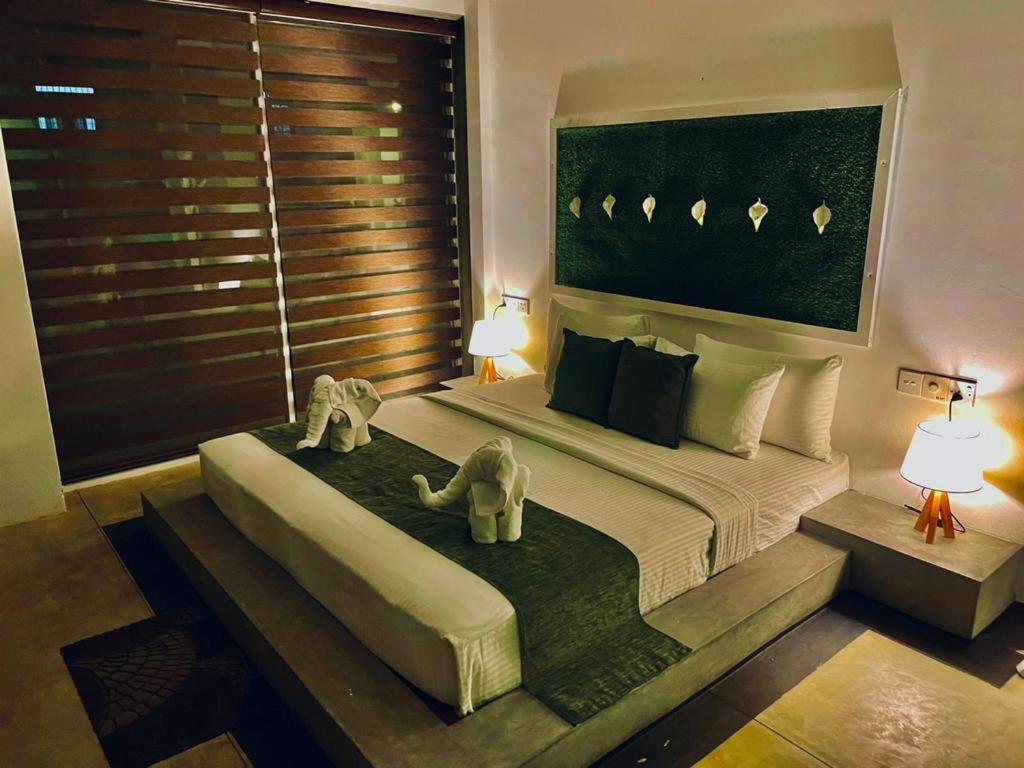 8 Plus Luxury Apartments Negombo Exteriör bild